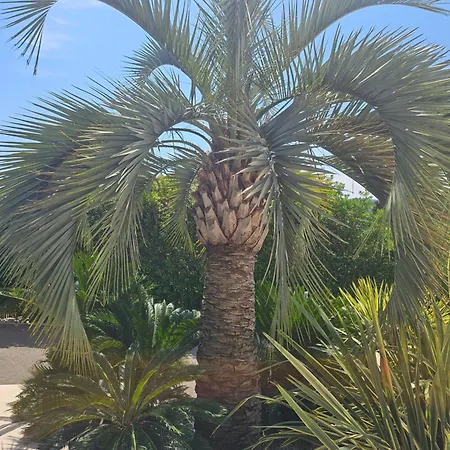 Lägenhet La 155 Superbe Centre Avec Piscine *